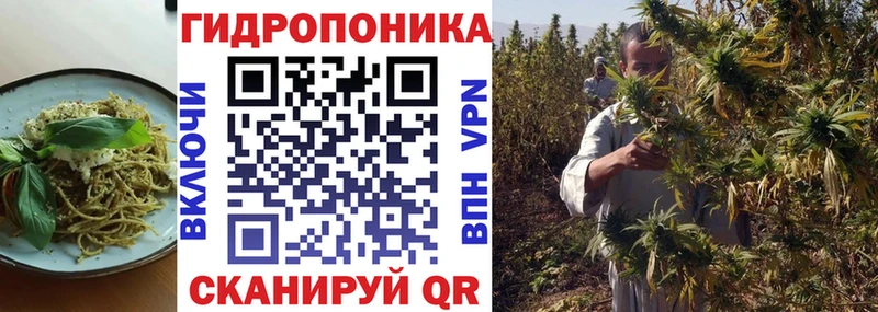 Cannafood марихуана  mega маркетплейс  Уссурийск 