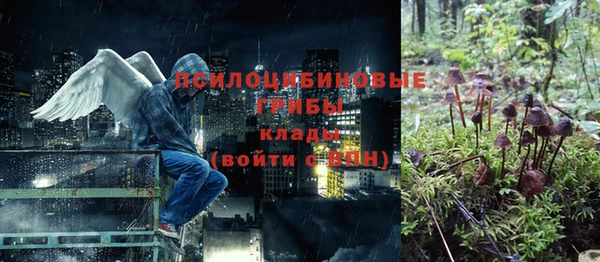 кокс Аркадак