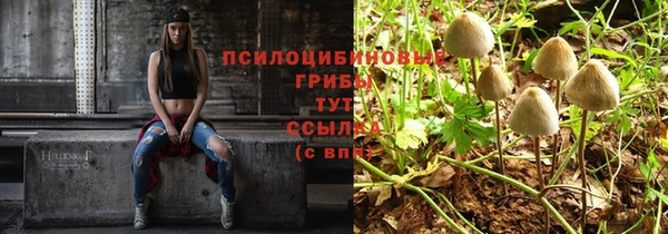 кокс Аркадак