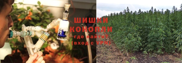 гидра Балабаново