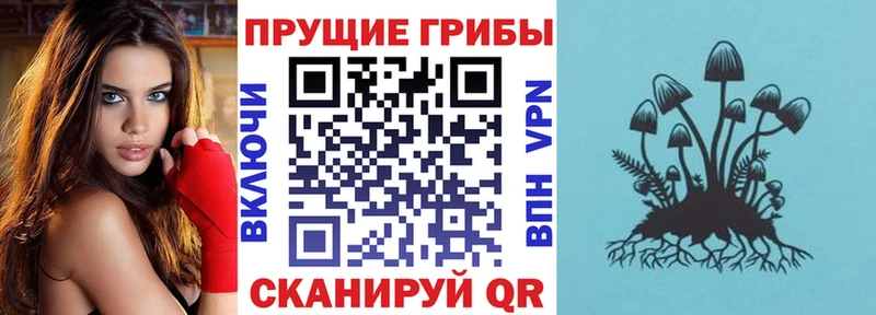 Галлюциногенные грибы ЛСД  купить  цена  Уссурийск 